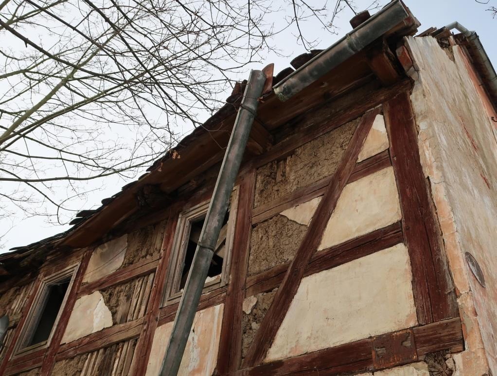 Ruinengrundstück mit denkmalgeschütztem Wohn-/Stallgebäude in Riesa – Foto 1