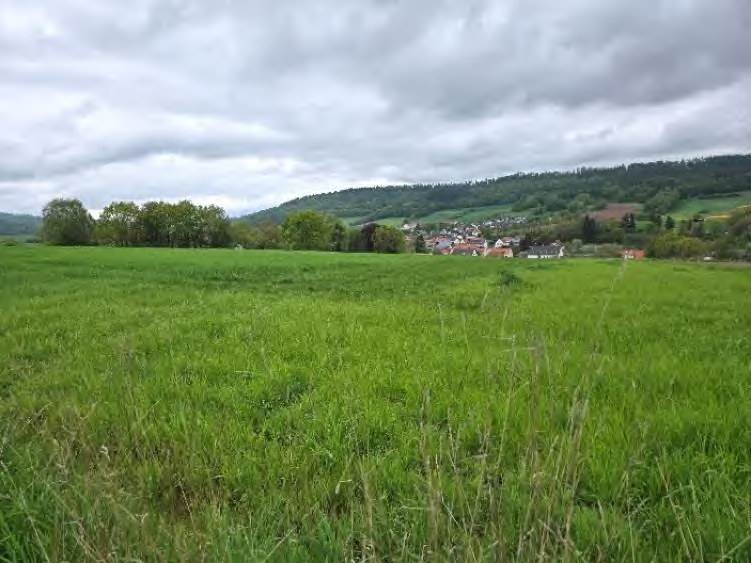 Land- und forstwirtschaftliche Grundstücke in Spangenberg-Pfieffe