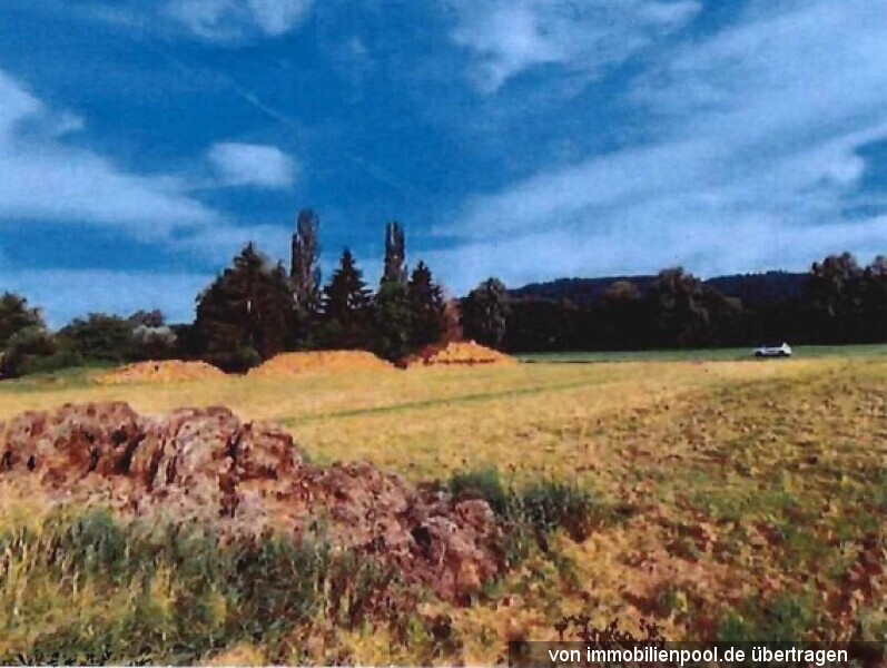3.266 m² Grünland in Schopfheim-Wiechs