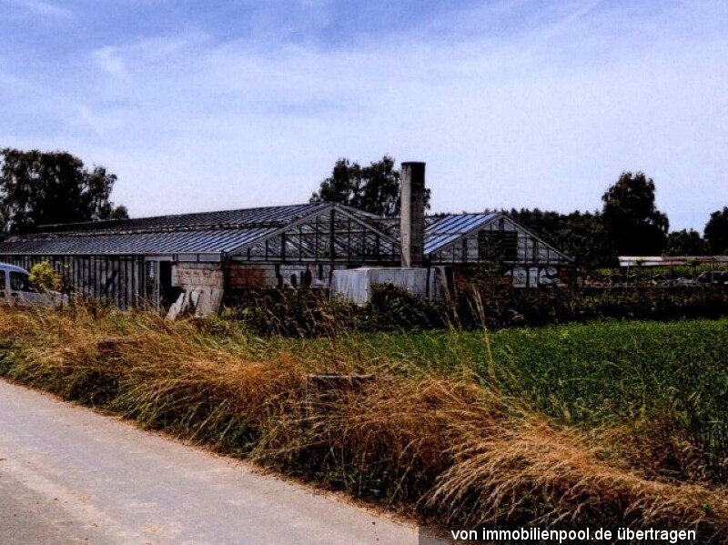 Zwei alte Gewächshäuser mit Gartenland in Salem-Mimmenhausen