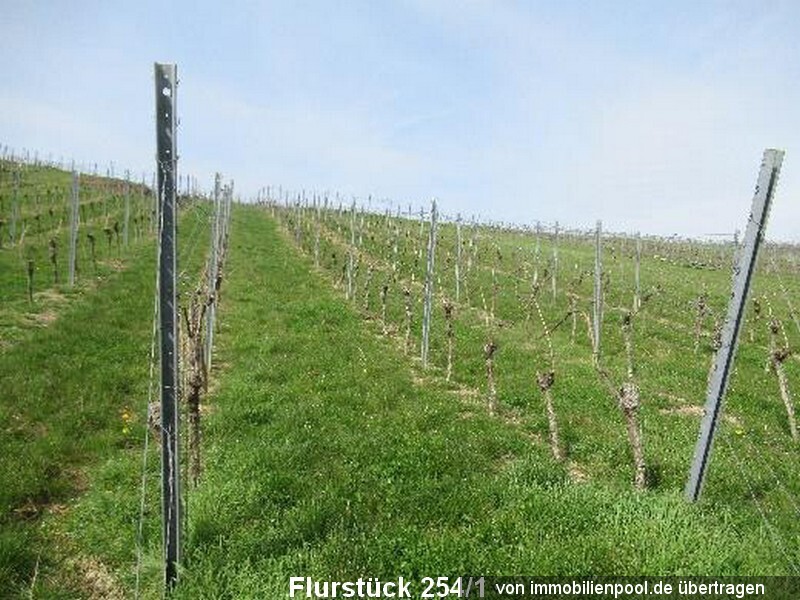 Wohn- und Betriebsgebäude mit Gaststätte in Unterwilflingen