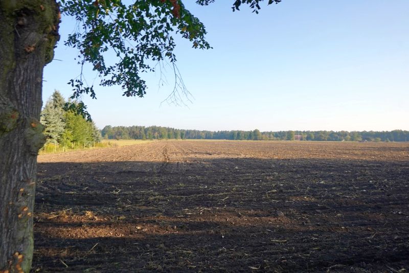 29.439 m² Ackerland in Bahnsdorf – Teilungsversteigerung