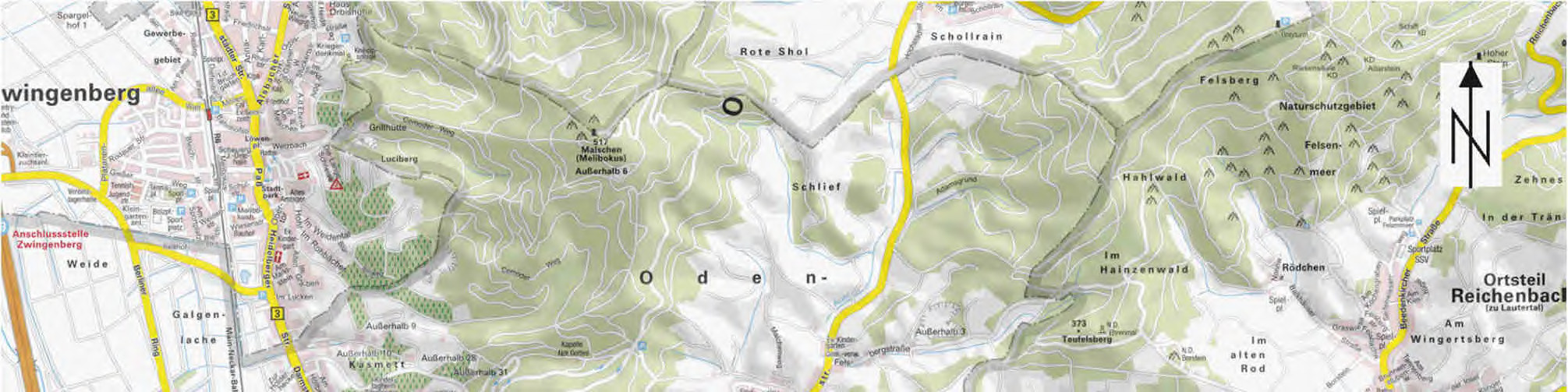 Grundstück mit Maschinenhalle und Grünland in Lautertal-Elmshausen