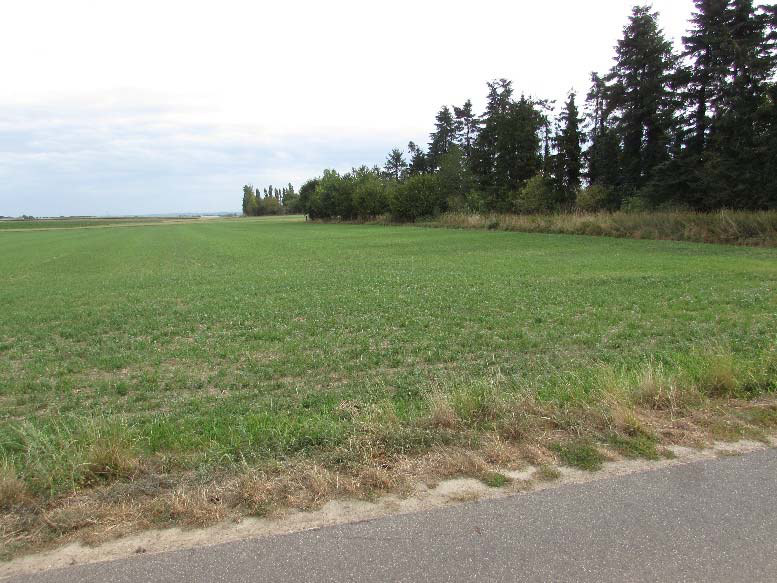 Landwirtschaftliche Fläche in Heinsberg-Laffeld
