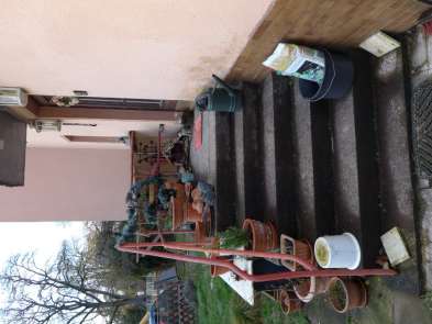 p045_img003_393x295.jpeg