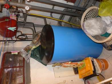 p047_img001_393x295.jpeg