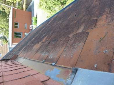 p049_img001_393x295.jpeg