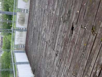 p053_img003_393x295.jpeg