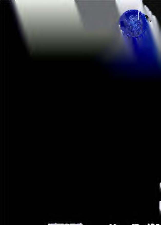 p005_img004_628x878.png