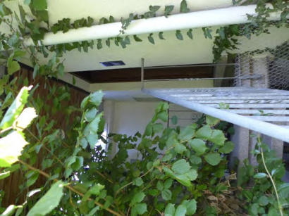 p045_img003_410x307.jpeg