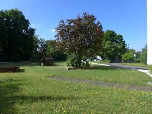 p039_img002_524x393.png