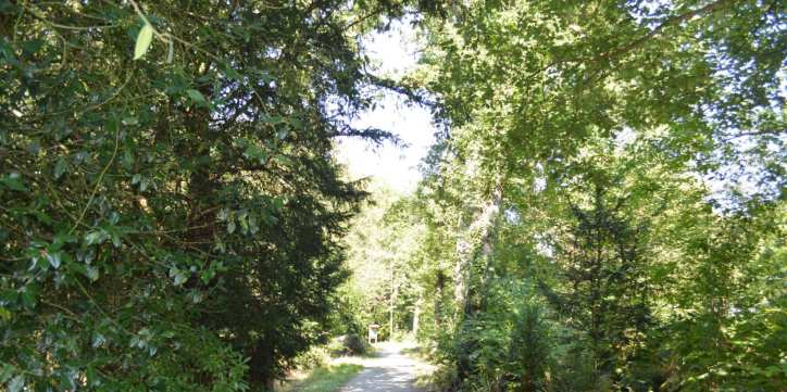 p058_img003_724x361.jpeg