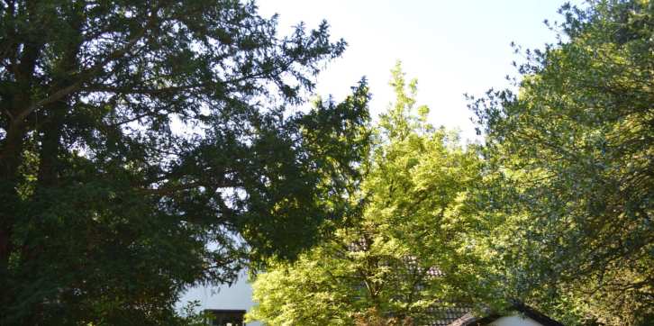p059_img001_726x362.jpeg