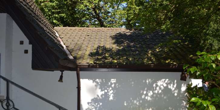 p063_img001_726x362.jpeg