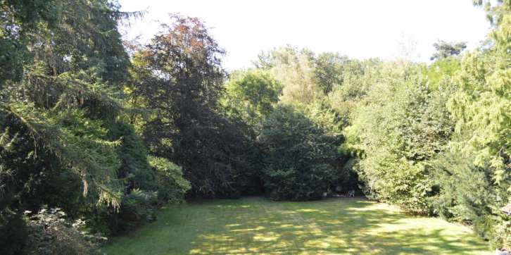 p064_img001_726x362.jpeg