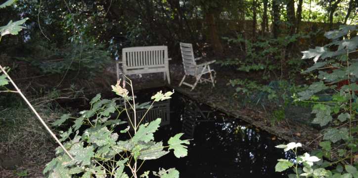 p064_img003_724x361.jpeg