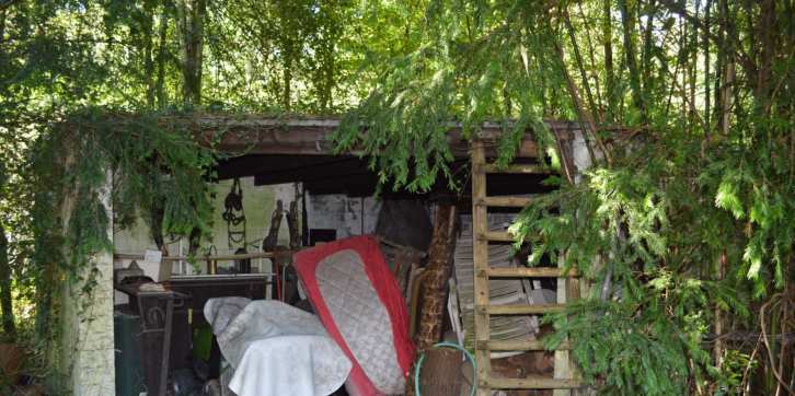p065_img001_726x362.jpeg