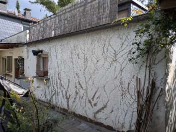 p054_img002_350x263.jpeg