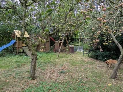 p057_img001_427x321.jpeg