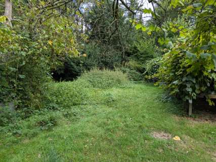 p057_img002_427x321.jpeg