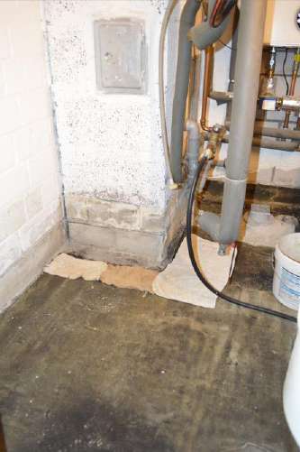 p052_img002_333x501.jpeg